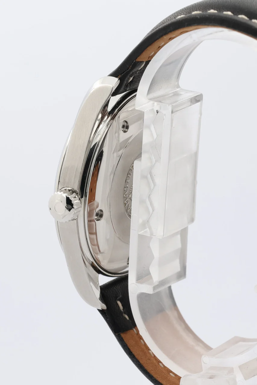 Omega Aqua Terra – Ref. 25178000, Gut – 2/8
