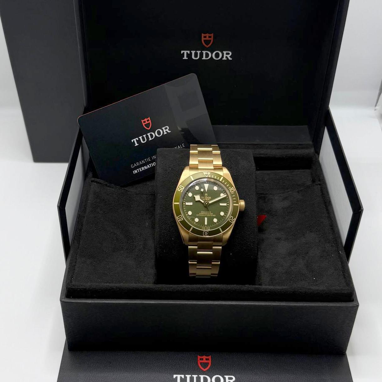 Tudor Black Bay – Ref. M79018, Sehr gut – 2/5