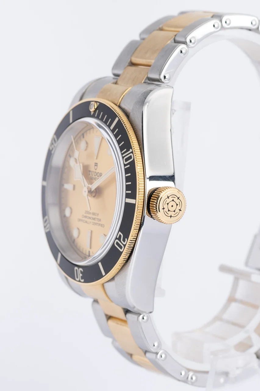 Tudor Black Bay – Ref. 79733, Sehr gut – 3/9