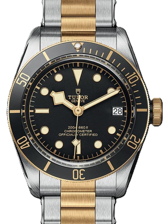 Tudor Black Bay – Ref. m79733n-0008, Wie neu