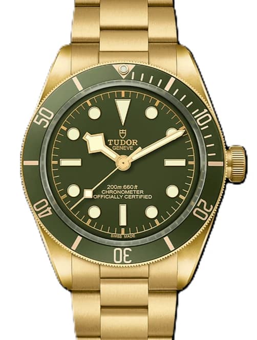 Tudor Black Bay – Ref. M79018V-0006, Wie neu