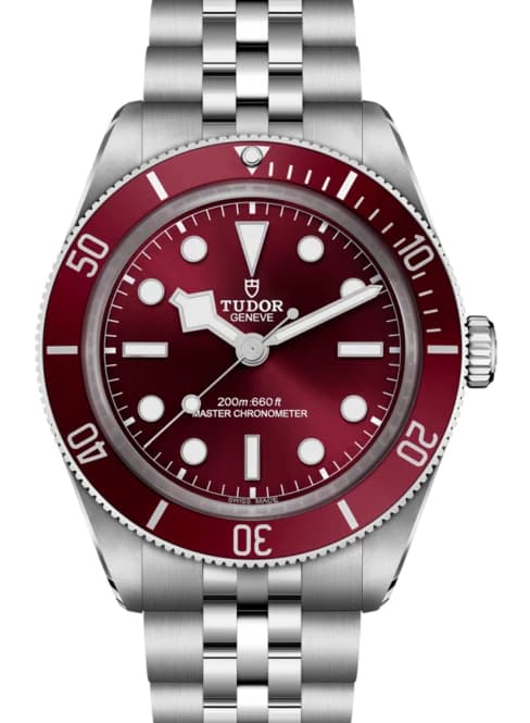 Tudor Black Bay – Ref. M7939A1A0RU-0001, Wie neu