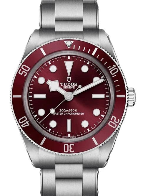 Tudor Black Bay – Ref. M7939A1A0RU-0002, Wie neu