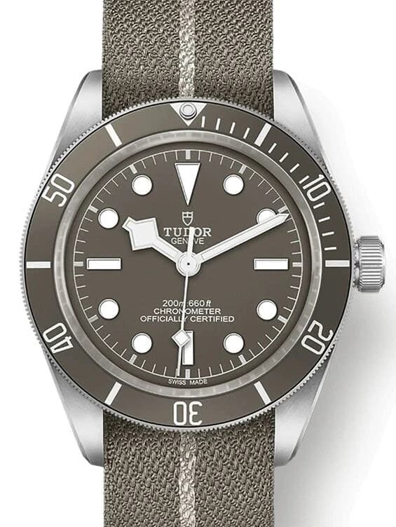 Tudor Black Bay – Ref. M79010SG-0002, Wie neu