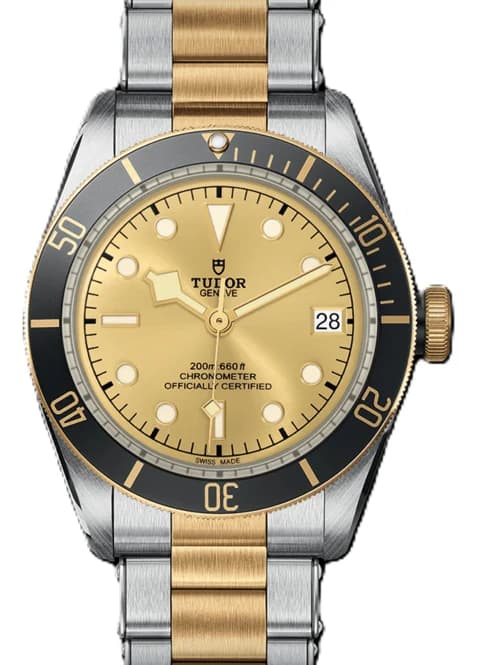 Tudor Black Bay – Ref. M79733N-0004, Wie neu