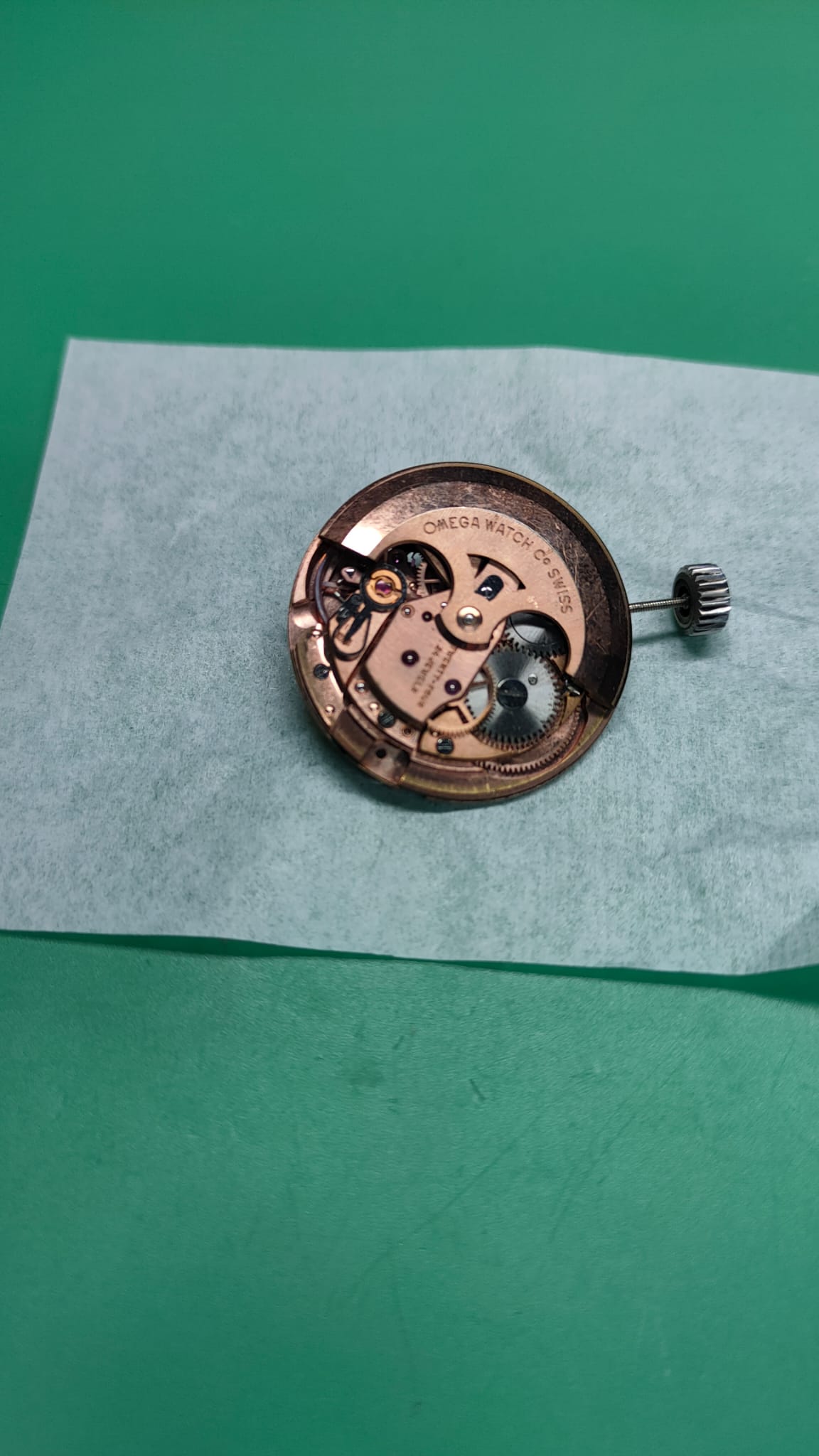 Omega Seamaster 300 – Ref. 14755-61, Gebraucht – 20/20