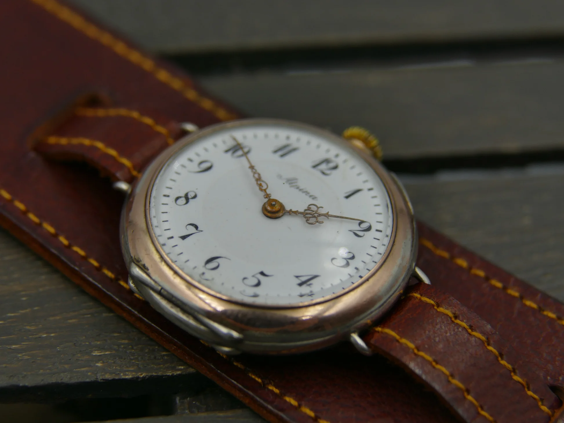 Alpina Vintage – used – 6/22