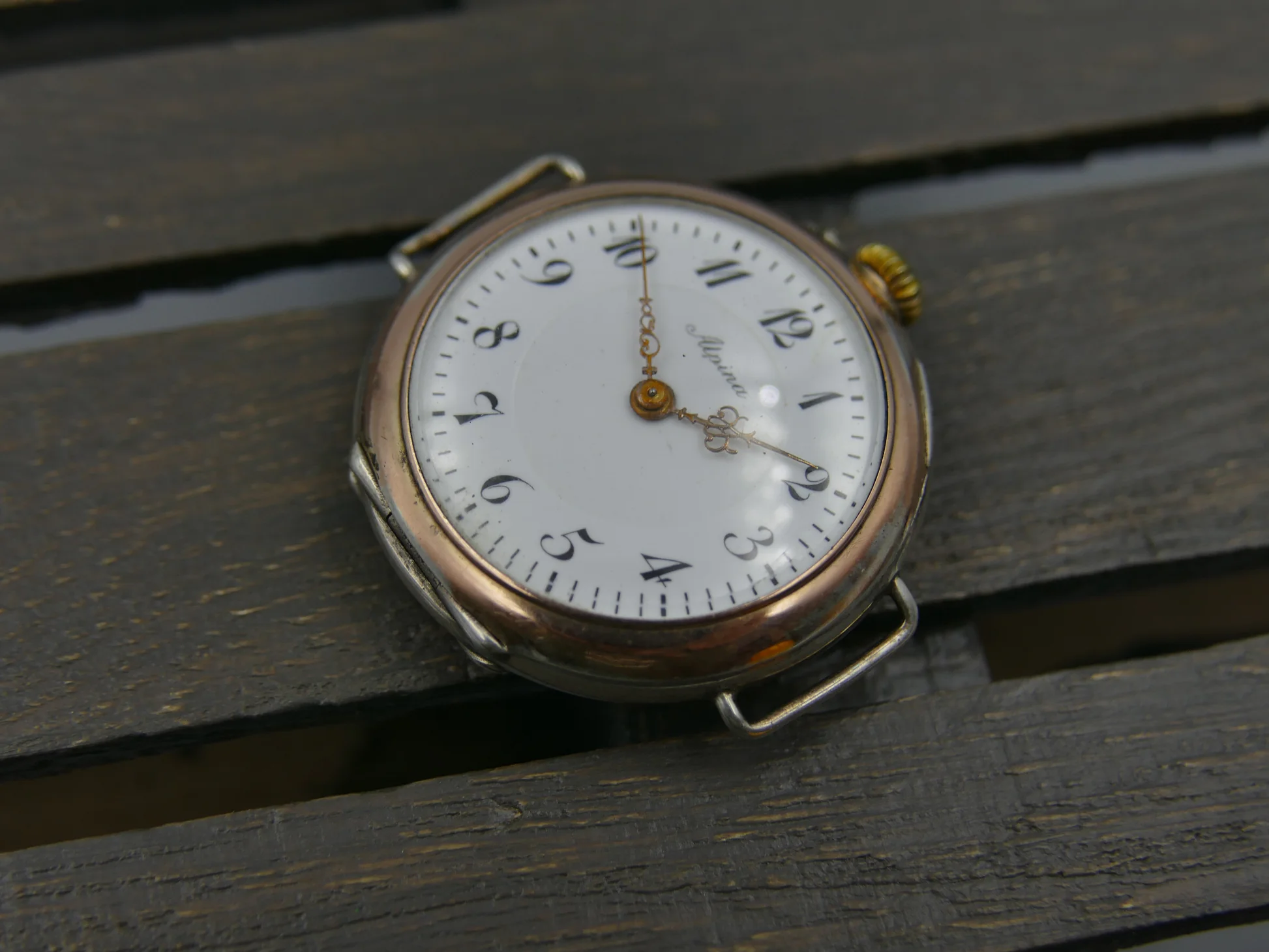 Alpina Vintage – used – 16/22