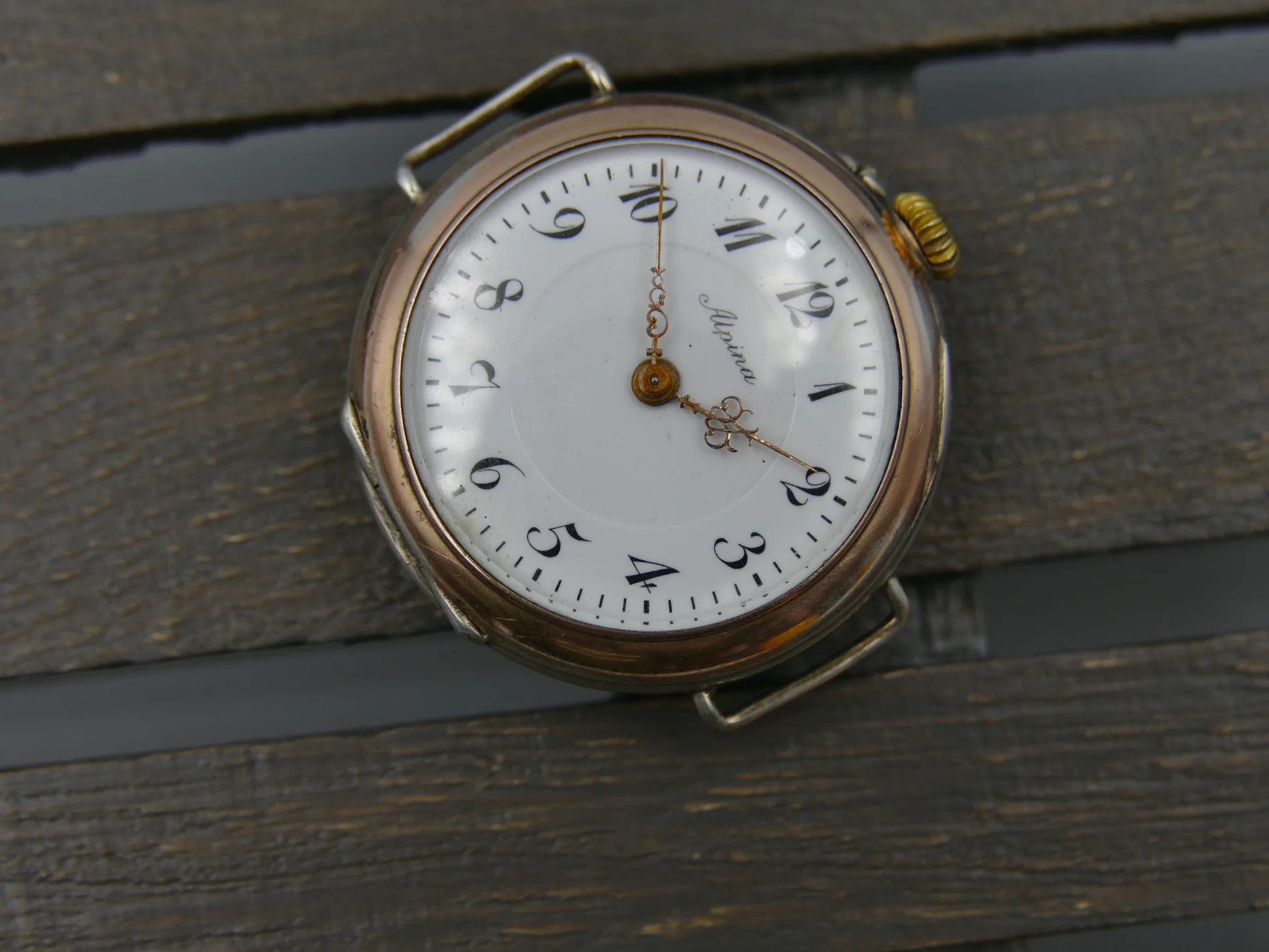Alpina Vintage – used – 17/22