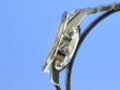 TAG Heuer Carrera – Ref. CV2010, very good – 7/11