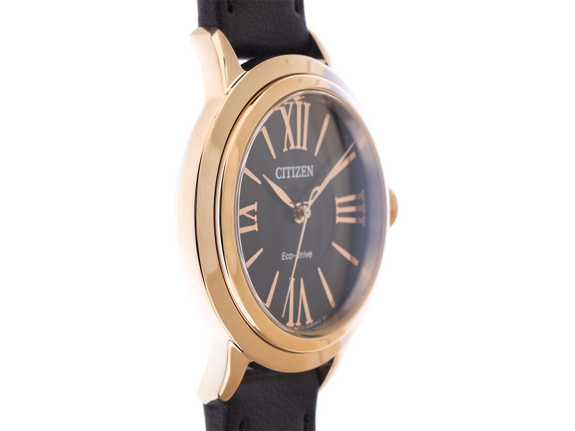 Citizen Eco Drive – Ref. EM1163-09X, New – 4/6