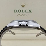 Rolex Cellini – Ref. 50519, very good – 8/16
